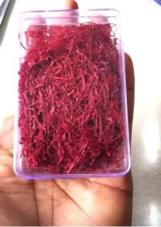 product-jpeg-500x500