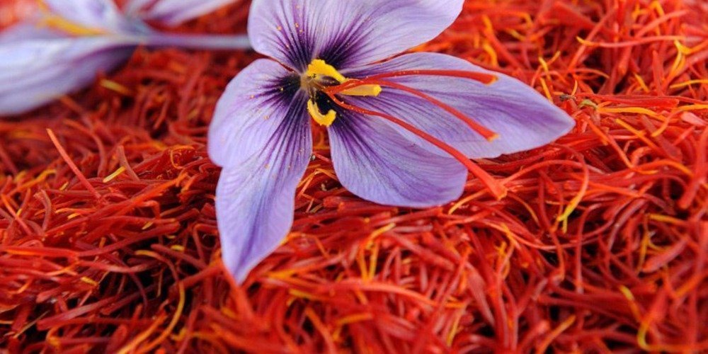 100% Pure & Original: No additives, no artificial color—just premium quality saffron strands
